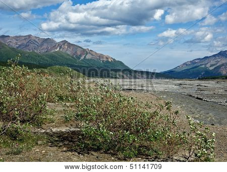 Denali's Toklat River