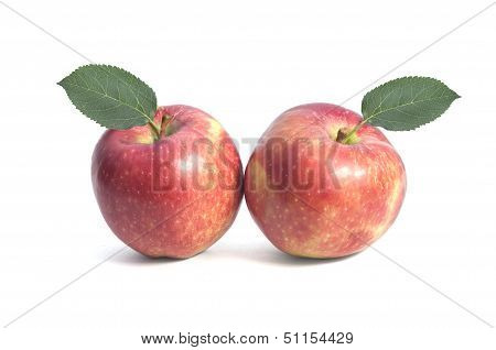 Two Red Apple