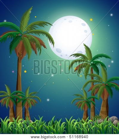 Illustration of a view of the forest under the bright fullmoon