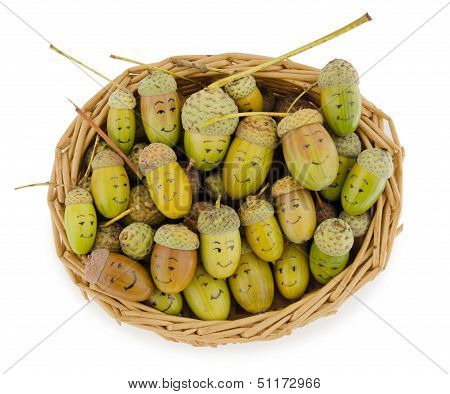 Acorns