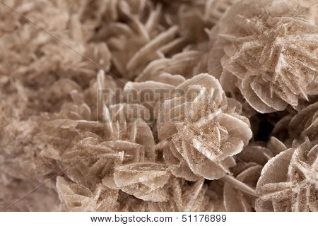 Texture Of Nature - Gem