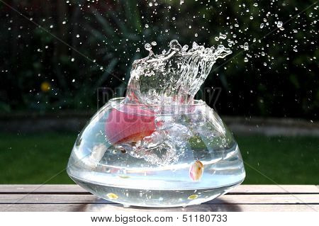 Red apple in water against Natural Background