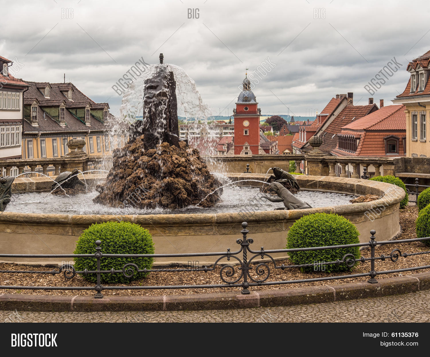 Image Preview