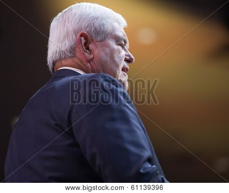 NATIONAL HARBOR, MD - MARCH 8, 2014: Former Presidential candidate and Speaker of the U.S. House of Representatives Newt Gingrich speaks at the Conservative Political Action Conference (CPAC).