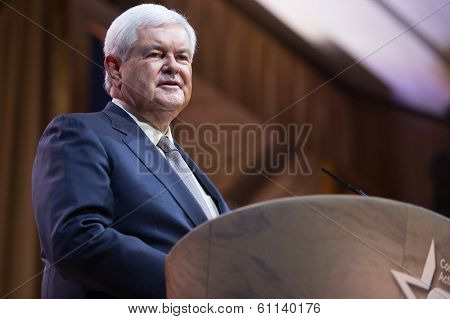 NATIONAL HARBOR, MD - MARCH 8, 2014: Former Presidential candidate and Speaker of the U.S. House of Representatives Newt Gingrich speaks at the Conservative Political Action Conference (CPAC).