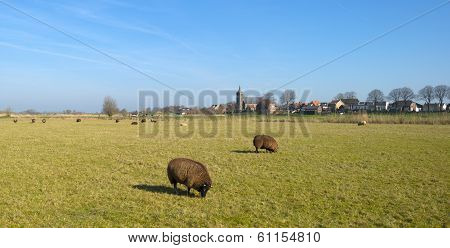 Skyline of a village with an ancient church