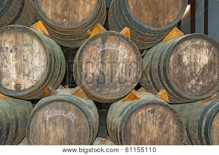 Old Wine Barrels In Codorniu Winery In Spain