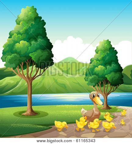 Illustration of a family of duck at the riverbank