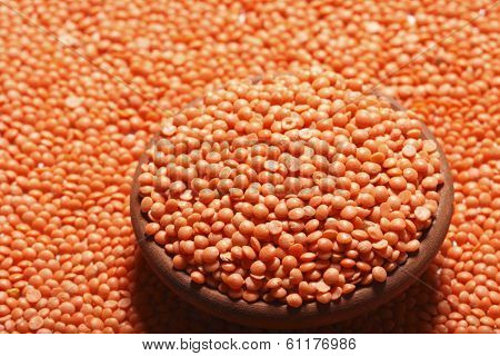 Red Masoor Dal is used In Indian Food