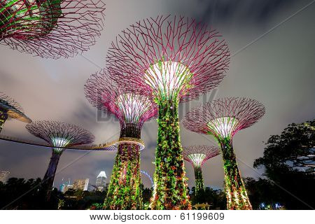 SINGAPORE-FEB 14: Night view of The Supertree Grove at Gardens by the Bay on Feb 14, 2014 in Singapore. Spanning 101 hectares, and five-minute walk from Bayfront MRT Station.