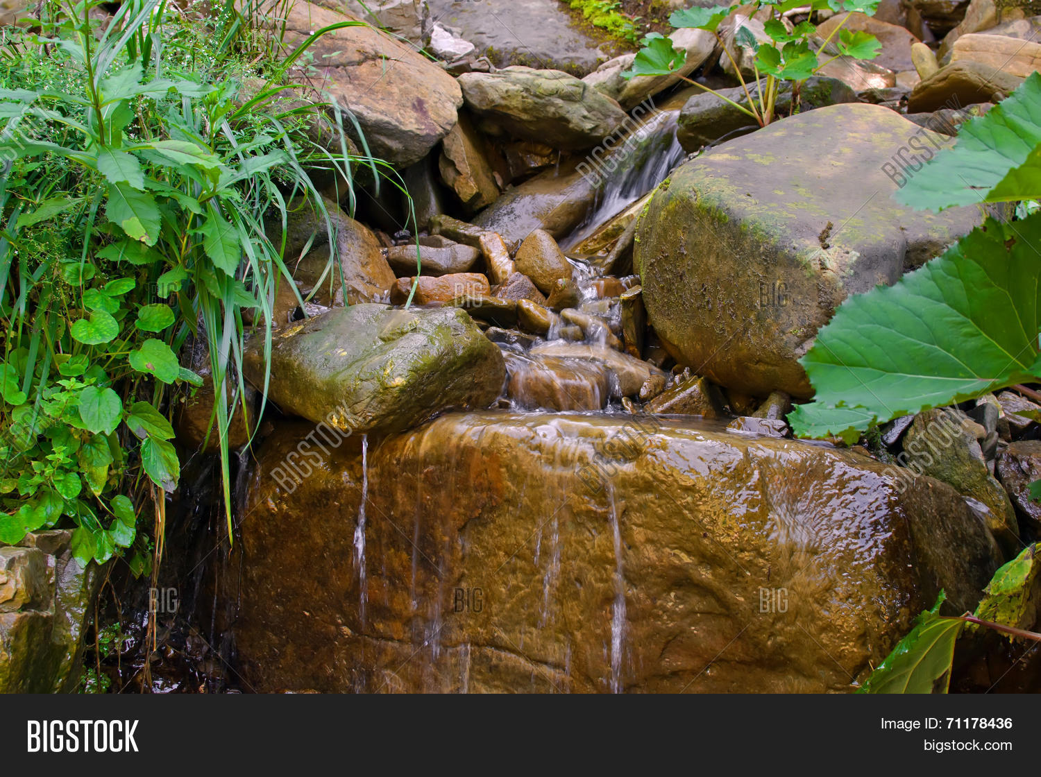 Image Preview