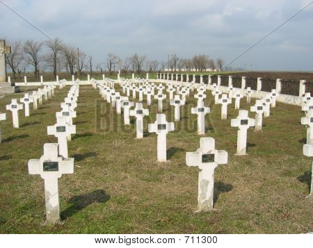 Croci