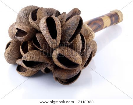 Calabash helistin