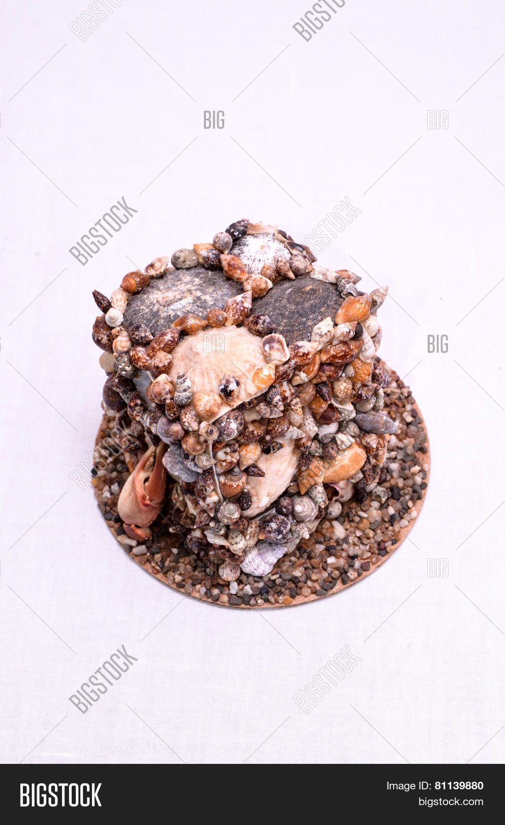 Image Preview