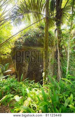 Traditional Burial Site In Tana Toraja