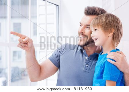 Just Look Over There!