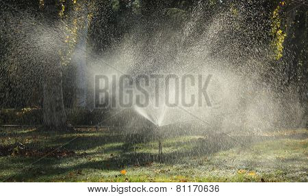 Irrigation