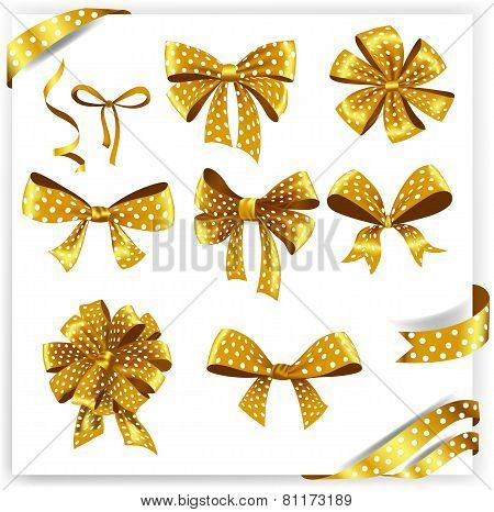 Set of gold polka dot gift bows with ribbons.