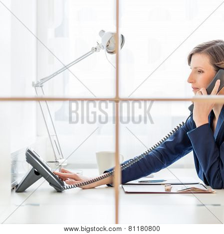 Businesswoman Or Personal Assistant On A Call