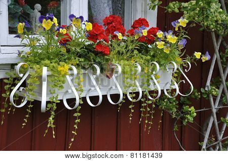 Flower pot outside the window