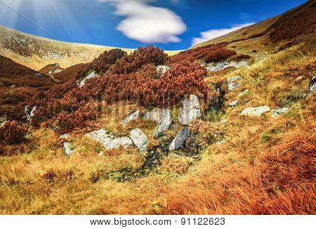 Chorna hora mountain range.  Carpathian mountains. Ukraine