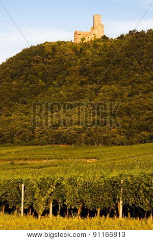 castle Ortenbourg, Alsace, France