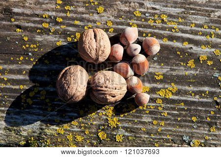 Walnuts and hazelnuts on an old wooden board