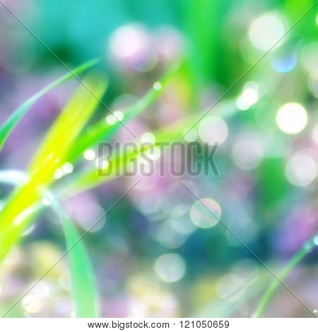 abstract natural green blurred background and boken