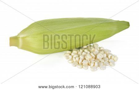 uncooked white corn wil leaf on white background