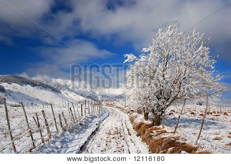 Hiver route paysage dans campagne