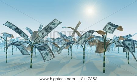groeiende dollar