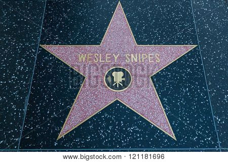 Wesley Snipes Hollywood Star