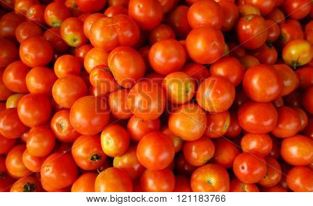 Red Tomato