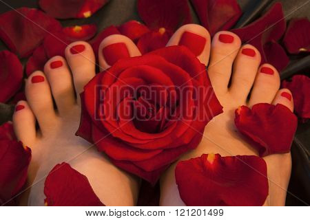 Pedicure with a red rose and petals