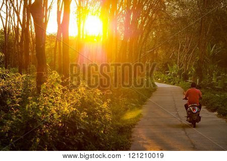 Motorbike scooter drives along a jungle road while sunset in the Forrest of Koo Mook Island in Thailand