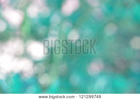 Abtrack Bokeh blur from natural tree