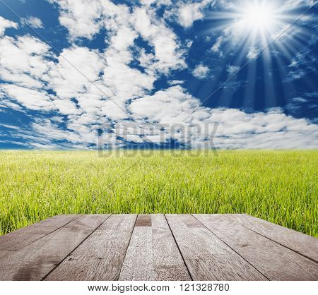 Wood floor top on green grass with blue sky and white cloud