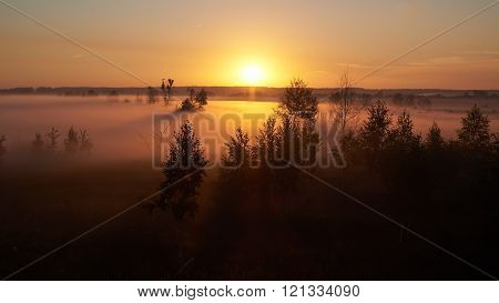 Sunrise over foggy meadow with trees and bushes