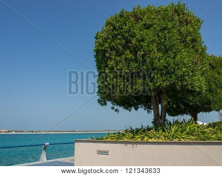 the City of abu Dhabi in the uae