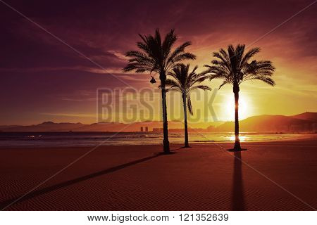Cullera Playa los Olivos beach sunset in Mediterranean Valencia at Spain