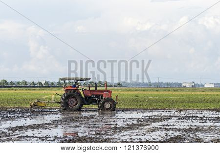 SELANGOR MALAYSIA - JANUARY 31 2016: Worker uses a machine to tilling the soil for planting rice on paddy field in Sekinchan Malaysia. Sekinchan is one of the major rice supplier in Malaysia.