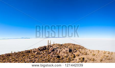 Cactus Island, Uyuni