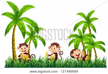Three monkeys eating bananas illustration
