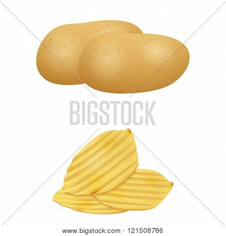 Illustration Of Potato Isolated With Potato Chips.