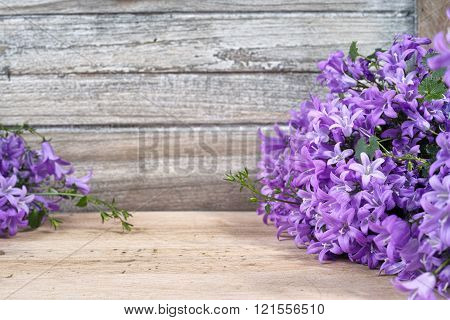 Purple campanula bluebell flowers on wooden background poscard concept copy space