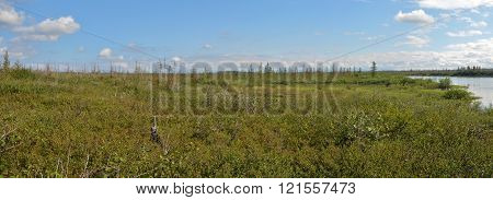 Panorama of the East Siberian tundra. The summer tundra landscape in the area of the Putorana plateau.