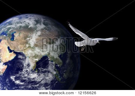 Gaviota volar fuera del planeta tierra