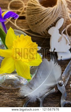 easter daffodil and rabbits
