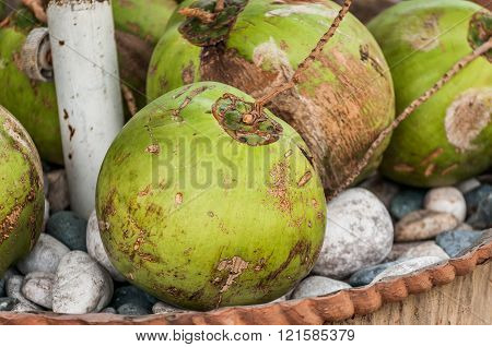 Coconuts