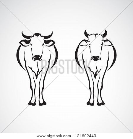 Vector Image Of An Two Cows On A White Background